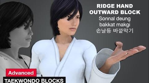 Ridge-Hand_Outward_(_손날등_바깥막기_Sonnal_deung_bakkat_makgi)