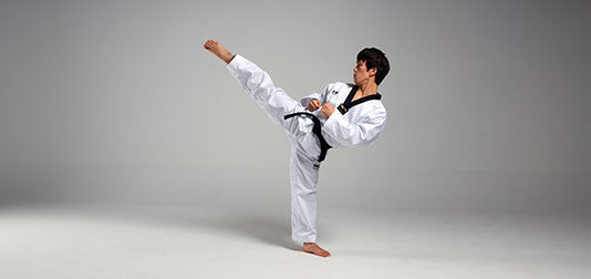 taekwondo roundhouse kick