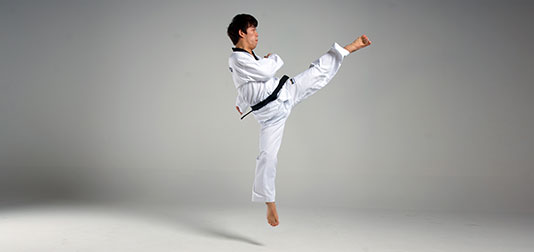 Back Hook Kick, Taekwondo Wiki