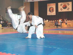 Hapkido5