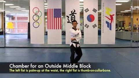 Taegeuk_Sa_Jang_-_with_notes