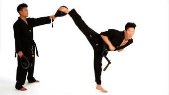 Back Hook Kick, Taekwondo Wiki