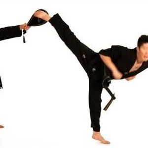 Back Hook Kick Taekwondo Wiki Fandom