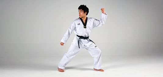 トップス Mountain Martial Arts Ranor  Size L s-l400.jpg