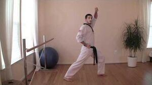 TaeKwonDo_Front_Stance_and_Walking_Stance_Tutorial