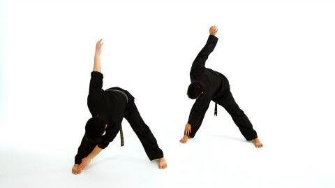 Martial arts leg stretches best sale