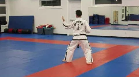 Choong_Jang_performed_by_Joel_Denis