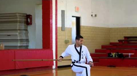 Grandmaster_Brad_Shipp_performs_Chun_Kuhn_Taekwondo_Silla_Pole_Pattern