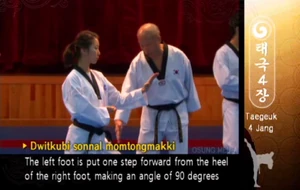 Double Knifehand Block in a Back Stance