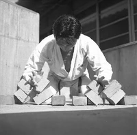 Park breaking bricks simultaneously with left and right hands