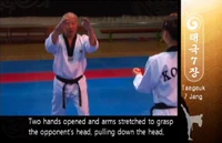 Chambering for the Knee Strike