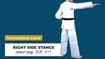 Taekwondo_2D_-_Right_Side_Stance_(_오른_서기_oreun_sogi_)