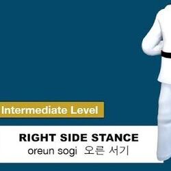 Category Stance Taekwondo Wiki Fandom