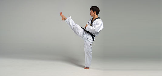 https://static.wikia.nocookie.net/taekwondo/images/5/5a/Front_Kick.jpg/revision/latest/scale-to-width-down/534?cb=20140618013129