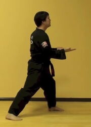TwinUpwardPalmBlock