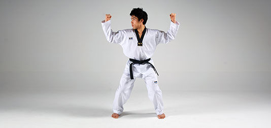 Mountain Block | Taekwondo Wiki | Fandom