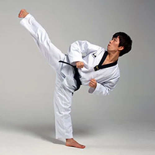 Taekwondo Kicks Names