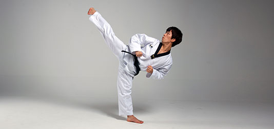 taekwondo kicks names in korean