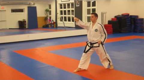 ITF Patterns, Taekwondo Wiki