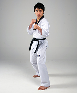 https://static.wikia.nocookie.net/taekwondo/images/6/6c/SparringStance.jpg