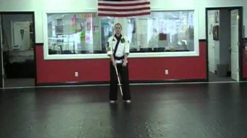 Chun_Kuk_Do_Bo_Form