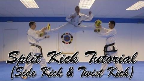 Scissors Kick Taekwondo Wiki Fandom
