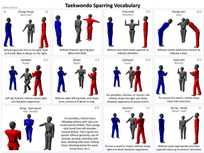 taekwondo kicks names in korean