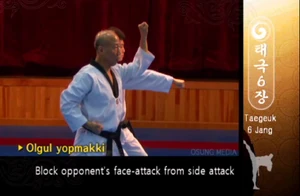 A High Outward Block in Taegeuk Yook Jang