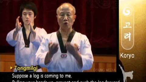 Grand_Master_Kyu_Hyung_Lee_-_WTF_Poomsae_Koryo