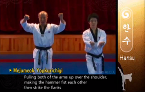 Hansoo2 DoubleHammerfist