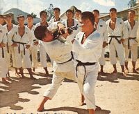 Arguably, bayonet was the original weapon of taekwondo. Here Korean soldiers train in bayonet at a military base in Vietnam in the 1960s.