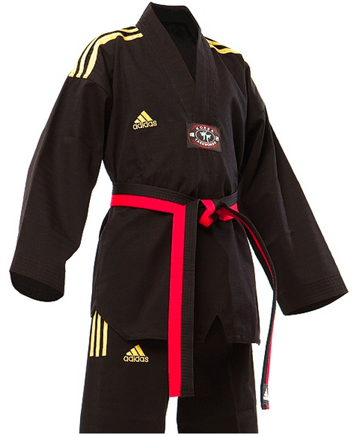 picture Taekwondo Uniform Back dobok taekwondo wiki fandom