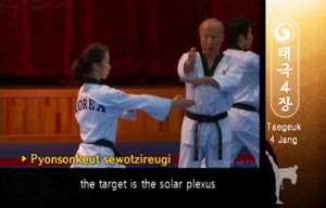 Vertical Fingertip Thrust, aka Spearhand Thrust