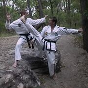 ITF Twisting Kick