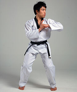 Side Elbow Strike.jpg
