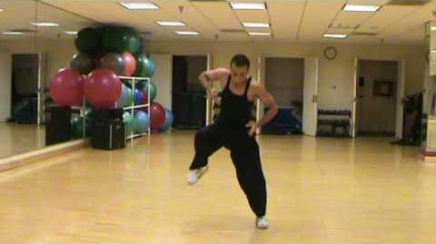 Tang_Soo_Do_Form_-_Rohai