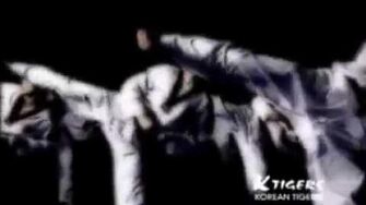 K-tigers_taekwondo_team_promotion_movie