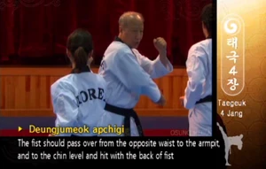 Chambering for the Backfist Strike