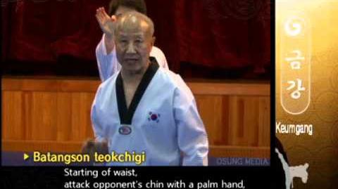 Grand_Master_Kyu_Hyung_Lee_-_WTF_Poomsae_Keumgang