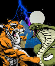 Tiger Punching Snake.jpg