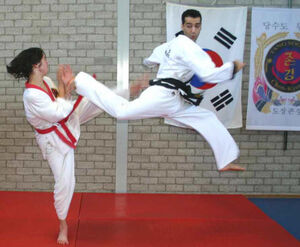 TangSooDo