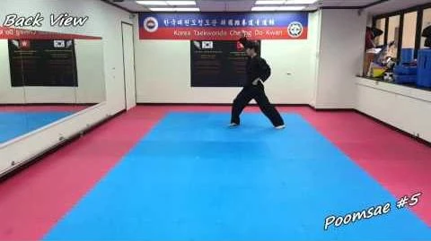 Taekwondo_-_Poomsae_5_(Oh_Jang)_Slow-motion_&_Mirror