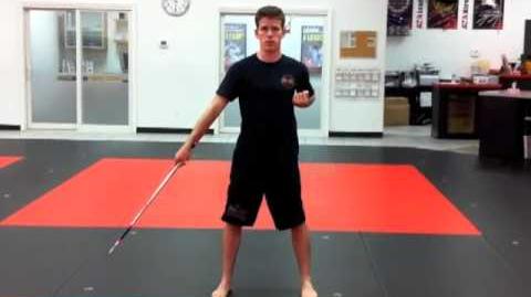 Segment_1_-_Mid-Range_Jahng_Bong_(ATA_Bo_Staff)_Training