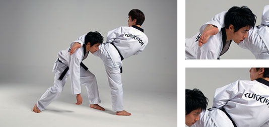 Back Hook Kick, Taekwondo Wiki