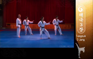 Knifehand Middle Block (i.e