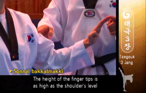 T3 KnifehandBlock