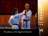 Elbow Strike