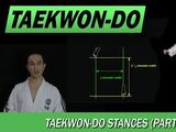 Taekwondo Stances