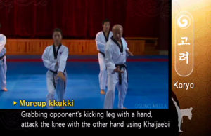 Koryo KneeBreak