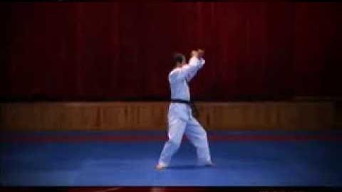 Grand_Master_Kyu_Hyung_Lee_WTF_Poomsae_Ilyeo